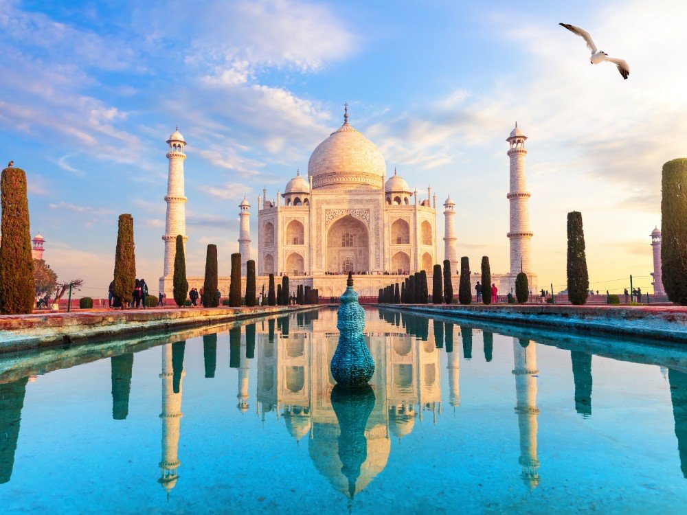 Tales from the Roads Less Traveled